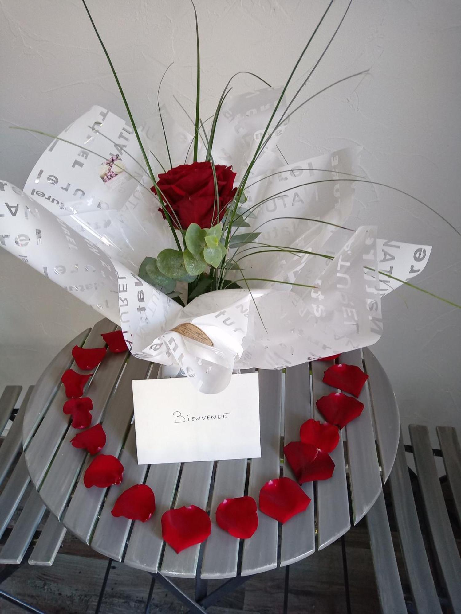 Studio Les Coquelicots Saint-Romain-sur-Cher エクステリア 写真
