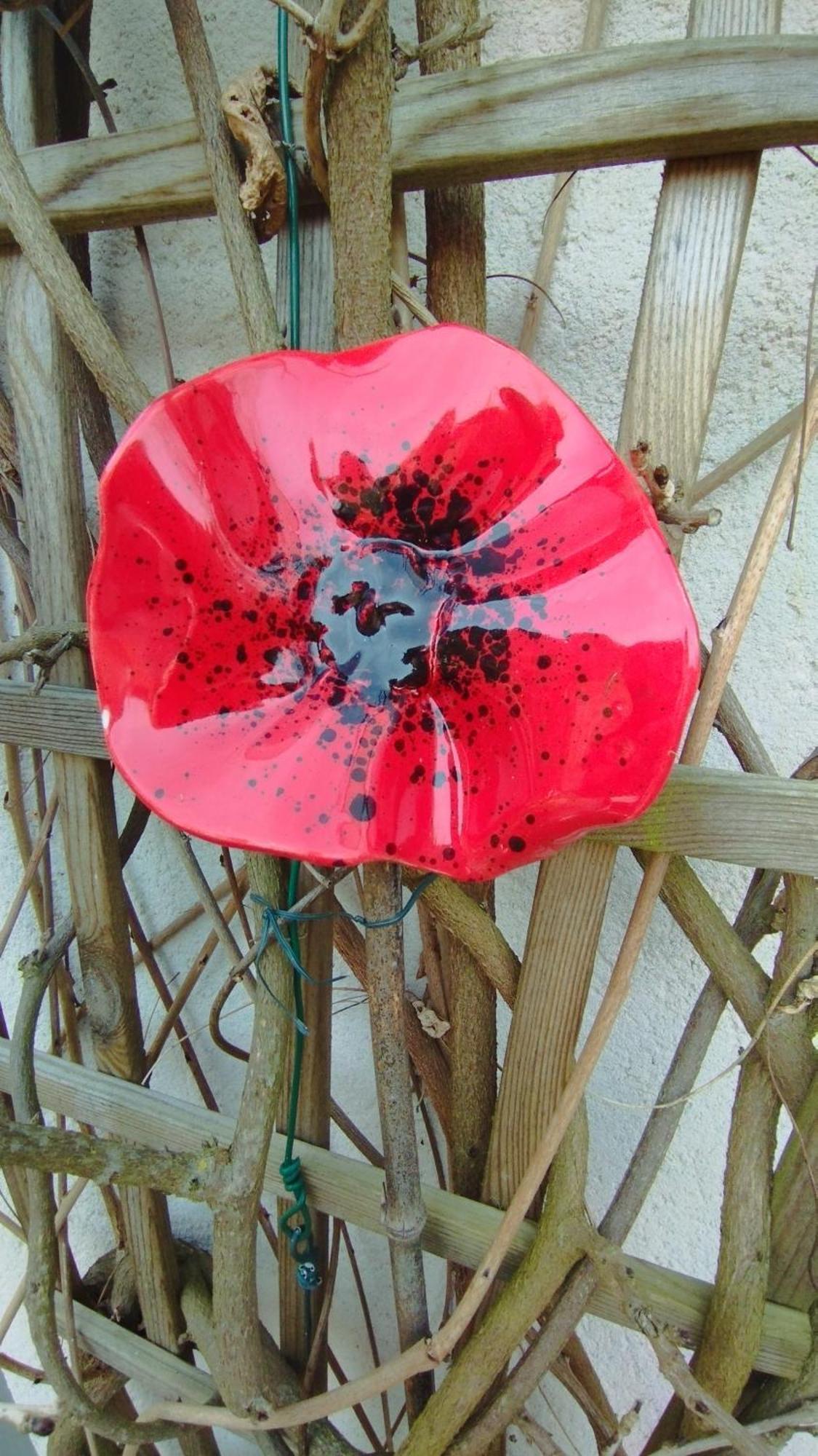 Studio Les Coquelicots Saint-Romain-sur-Cher エクステリア 写真