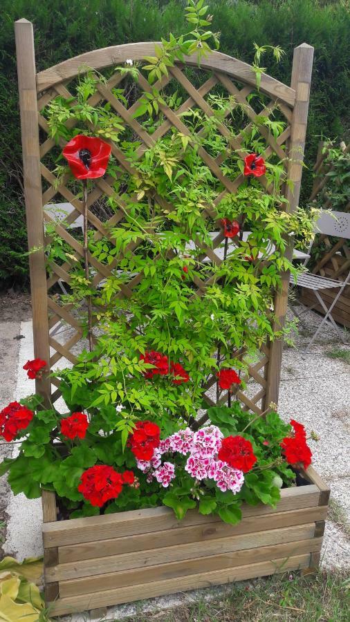 Studio Les Coquelicots Saint-Romain-sur-Cher エクステリア 写真
